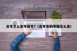 自考怎么查考籍号?（自考生的考籍怎么查）