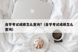 自学考试成绩怎么查询?（自学考试成绩怎么查询）