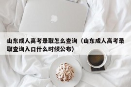 山东成人高考录取怎么查询（山东成人高考录取查询入口什么时候公布）