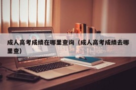 成人高考成绩在哪里查询（成人高考成绩去哪里查）