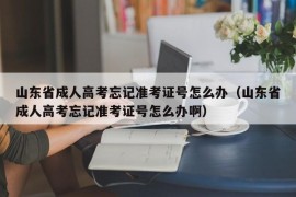 山东省成人高考忘记准考证号怎么办（山东省成人高考忘记准考证号怎么办啊）