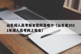 山东成人高考报名官网是哪个（山东省2021年成人高考网上报名）