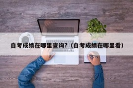 自考成绩在哪里查询?（自考成绩在哪里看）