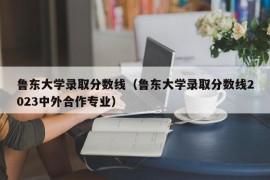 鲁东大学录取分数线（鲁东大学录取分数线2023中外合作专业）