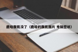 鹿晗腹肌没了（鹿晗的腹肌图片 电脑壁纸）