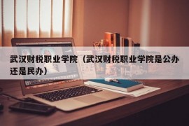 武汉财税职业学院（武汉财税职业学院是公办还是民办）