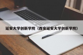 延安大学创新学院（西安延安大学创新学院）