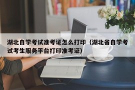 湖北自学考试准考证怎么打印（湖北省自学考试考生服务平台打印准考证）