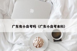 广东有小自考吗（广东小自考本科）