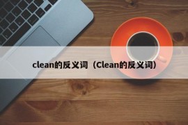 clean的反义词（Clean的反义词）