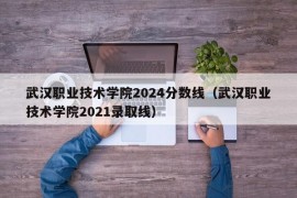 武汉职业技术学院2024分数线（武汉职业技术学院2021录取线）