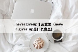 nevergiveup什么意思（never giver up是什么意思）