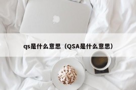 qs是什么意思（QSA是什么意思）