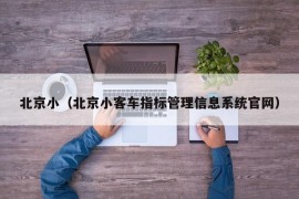 北京小（北京小客车指标管理信息系统官网）