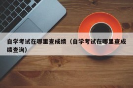 自学考试在哪里查成绩（自学考试在哪里查成绩查询）