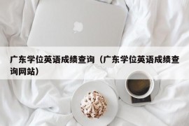 广东学位英语成绩查询（广东学位英语成绩查询网站）