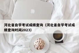 河北省自学考试成绩查询（河北省自学考试成绩查询时间2023）