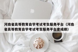 河南省高等教育自学考试考生服务平台（河南省高等教育自学考试考生服务平台查成绩）