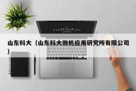 山东科大（山东科大微机应用研究所有限公司）