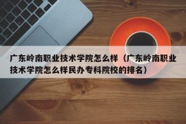 广东岭南职业技术学院怎么样（广东岭南职业技术学院怎么样民办专科院校的排名）