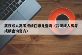 武汉成人高考成绩在哪儿查询（武汉成人高考成绩查询官方）