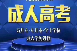 成人高考可以直接报本科的吗,成人高考可以直接报考本科吗？