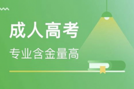 济南成人高考有什么可考专业,山东政法学院成人高考有哪些专业？